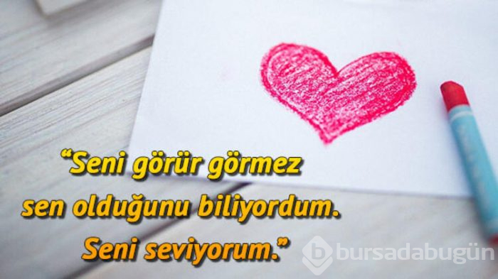 Sevgililer Günü mesajı şimdiden araştırılmaya başlandı!