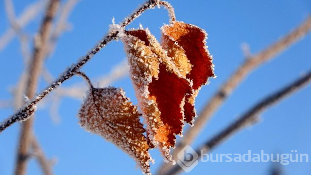 Ardahan'da termometreler eksi 38'i gördü
