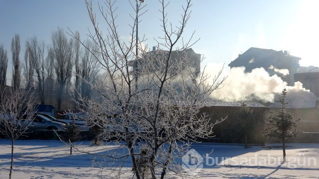 Ardahan'da termometreler eksi 38'i gördü