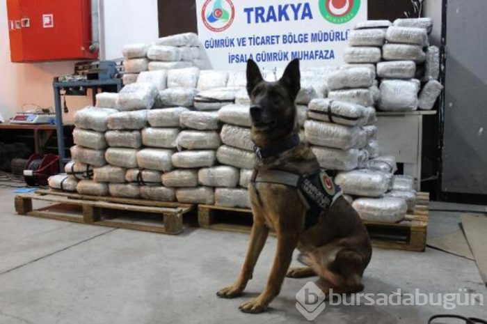 Operasyonda 2 ton 70 kilo esrar bulundu!
