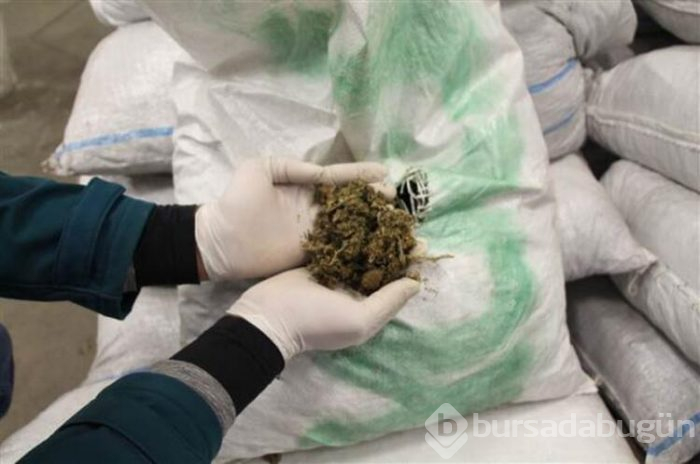 Operasyonda 2 ton 70 kilo esrar bulundu!