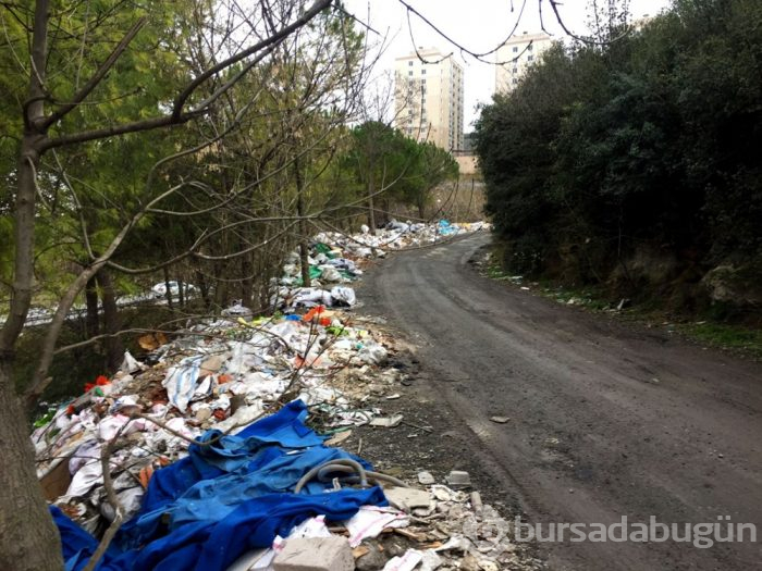 Ormanı molozla kapladılar!