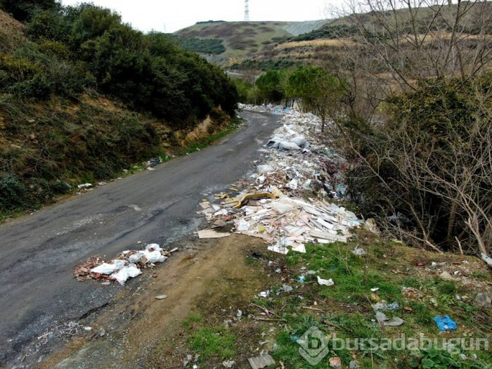 Ormanı molozla kapladılar!