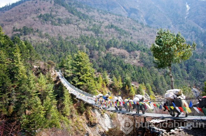 Kazançları dudak uçuklatıyor