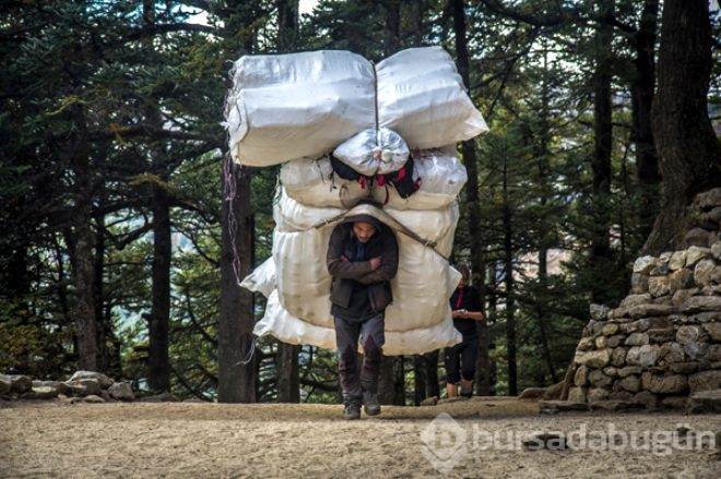 Kazançları dudak uçuklatıyor