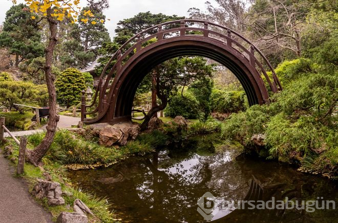 Dünyanın en meşhur 10 parkı
