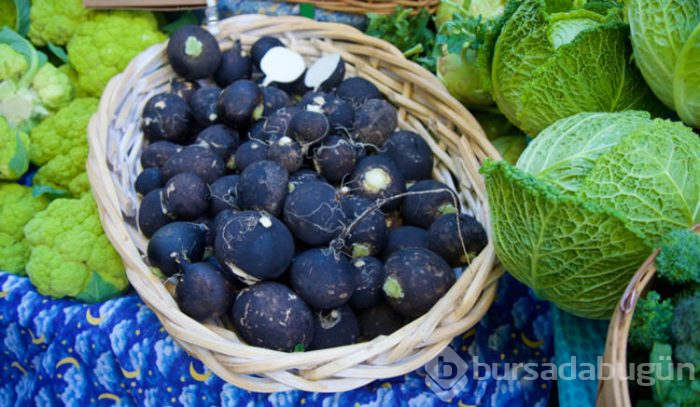 Hepsi doğal antibiyotik!