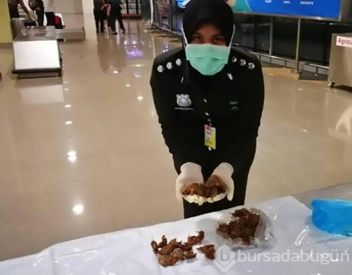 Dünya şoka uğradı! Virüsten hayatını kaybedenlerin sayısı 1115'i buldu..