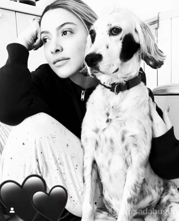 Hadise, haberlere sessiz kaldı