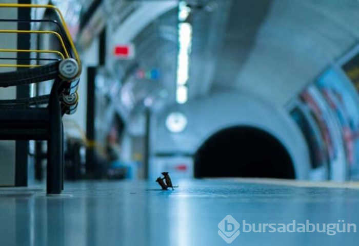 Bir kare için günlerce metro istasyonunda kaldı!