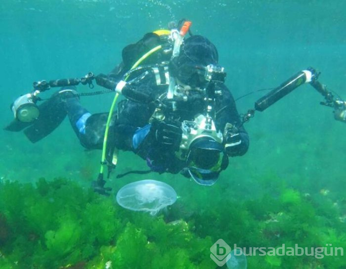 Marmara'daki kayıp ada bulundu! Sular altında kalan gizemli ada...