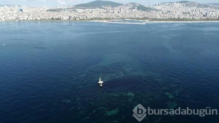 Marmara'daki kayıp ada bulundu! Sular altında kalan gizemli ada...