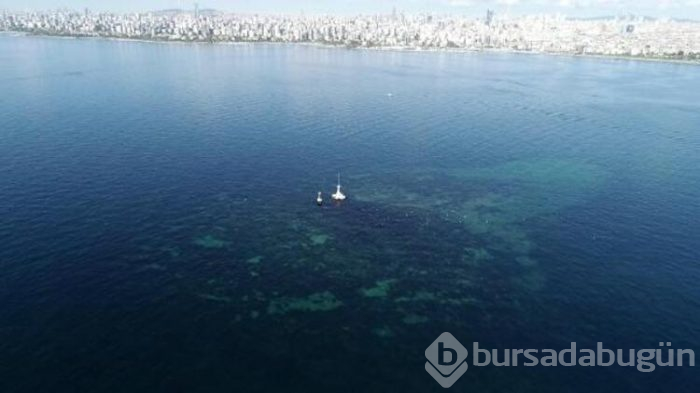 Marmara'daki kayıp ada bulundu! Sular altında kalan gizemli ada...
