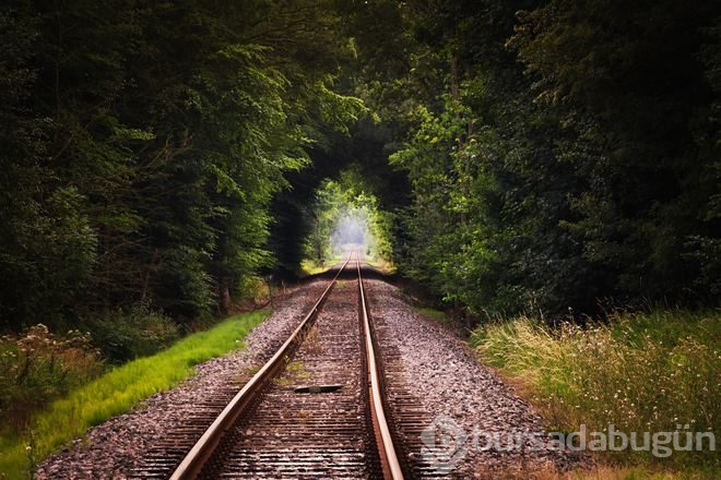 Muhteşem tren yolculukları!