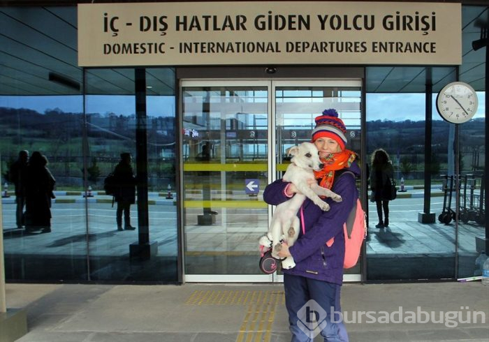 "Pamuk"un hayatı "Heidi" ile değişti
