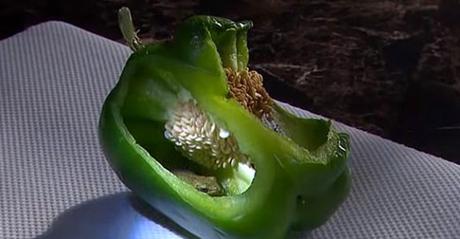 Dolmalık biberin içinden çıkan şey şoke etti!