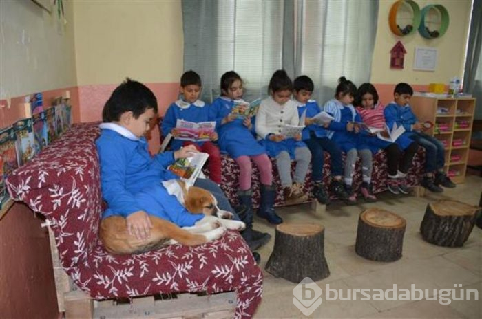 Yavru köpek derslere giriyor! 'Fındık' önlüğüyle okulun maskotu oldu