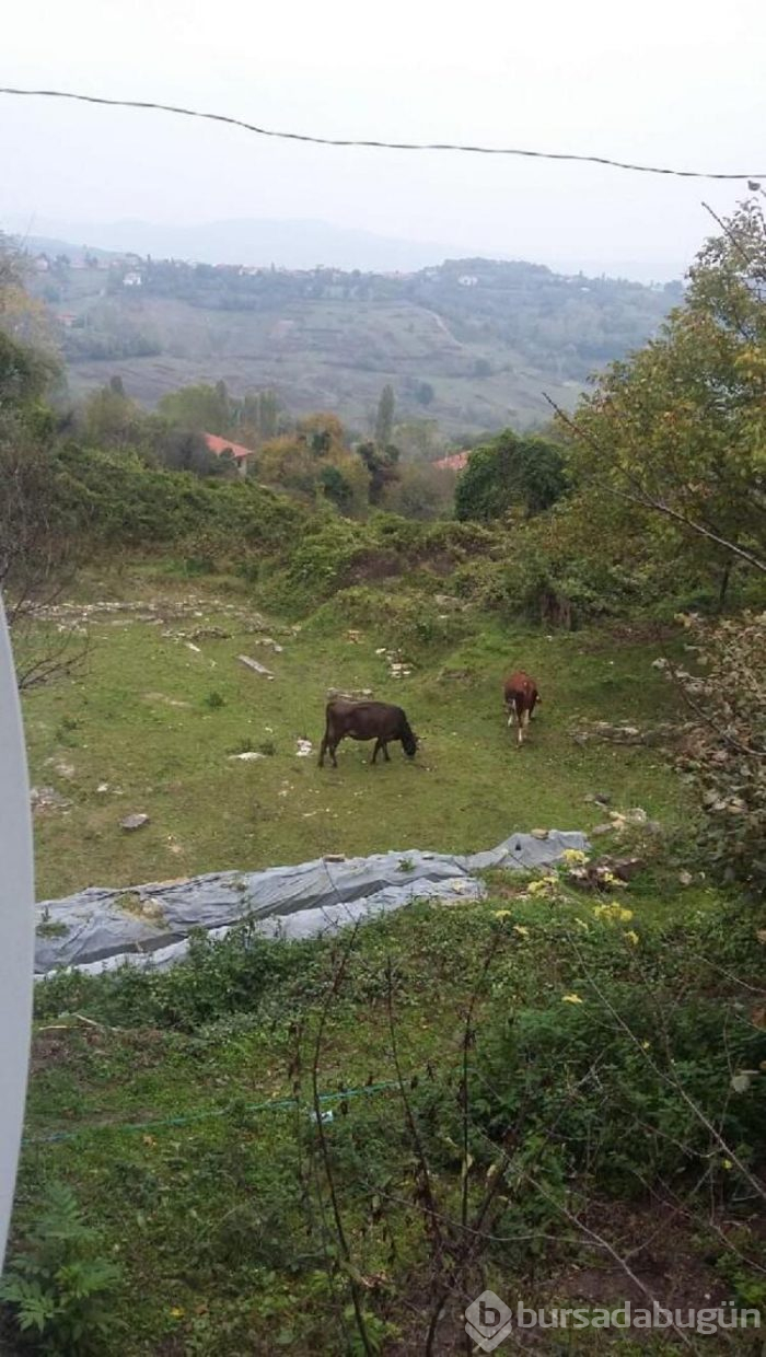Bahçesinde Roma dönemine ait eserler çıktı