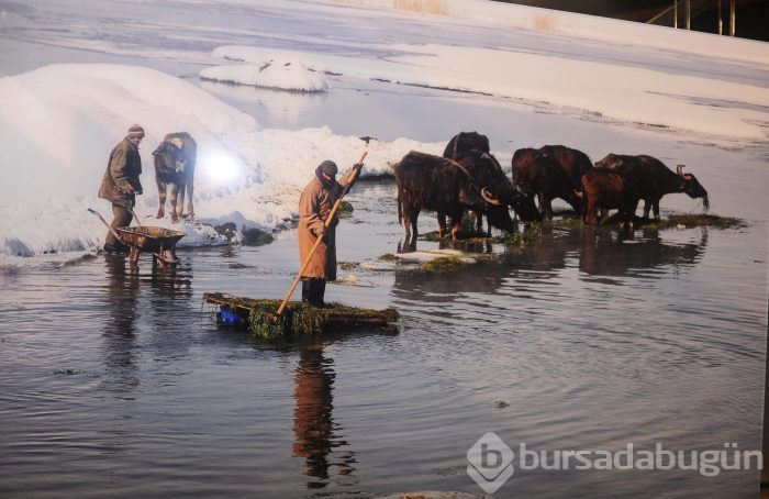 Fotoğraf sanatçısı iş insanından renkli sergi