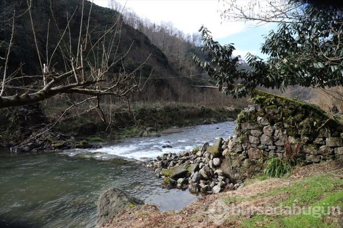 Rize'de tarihi kemer köprü yıkıldı!