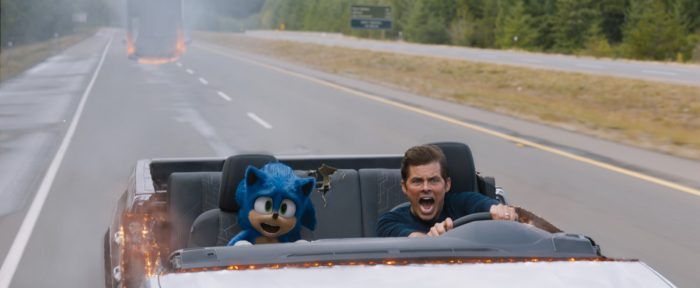 Kirpi Sonic