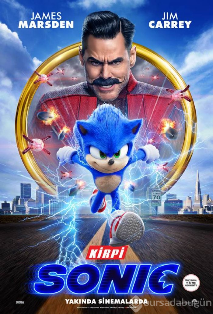 Kirpi Sonic