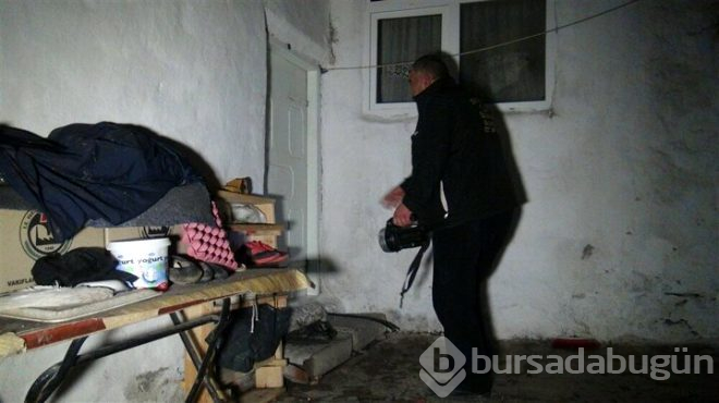 Art arda görülen akrep vatandaşı korkuttu!