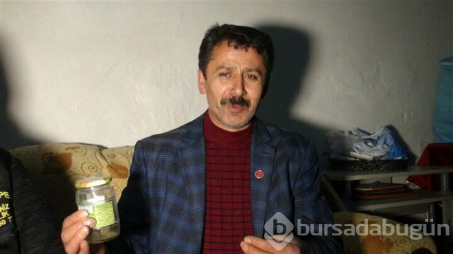 Art arda görülen akrep vatandaşı korkuttu!