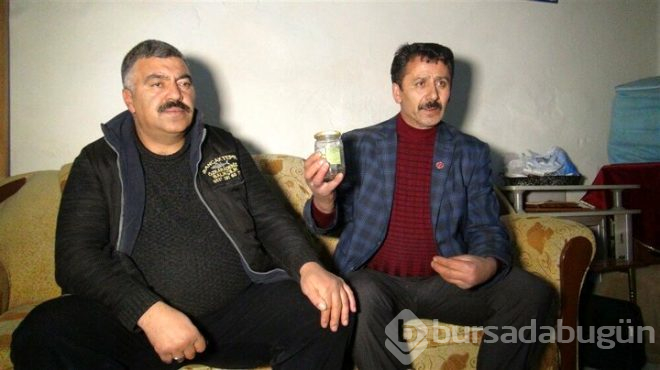 Art arda görülen akrep vatandaşı korkuttu!