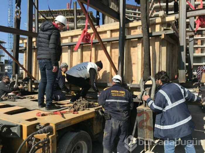 Bursa'da 55 yıllık selvi ağacı zarar görmeden taşındı!