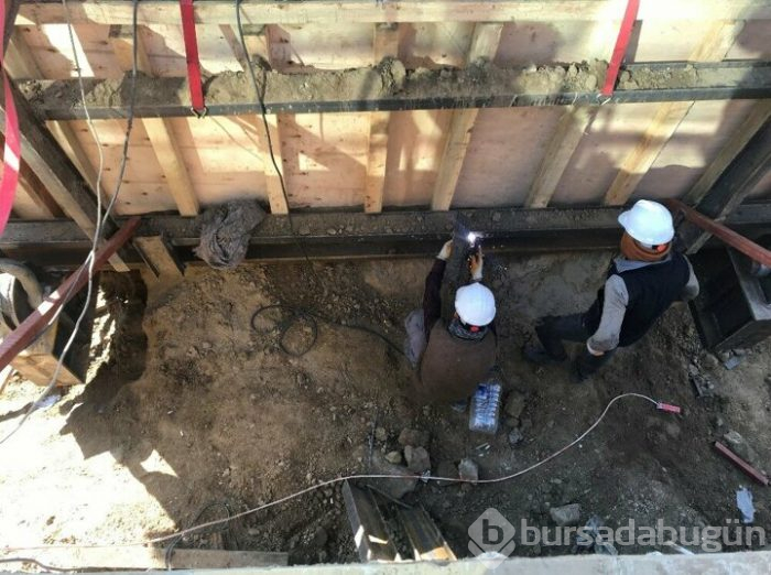 Bursa'da 55 yıllık selvi ağacı zarar görmeden taşındı!