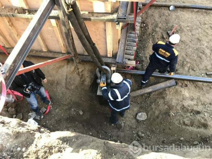 Bursa'da 55 yıllık selvi ağacı zarar görmeden taşındı!