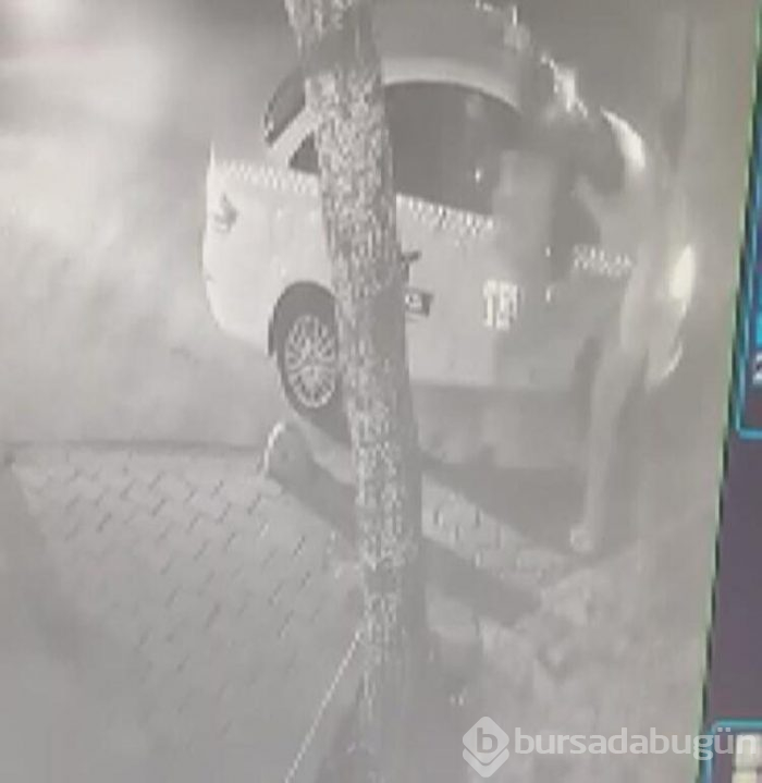 Kadına saldıran kişiye dehşet dayak