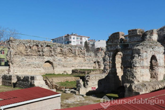 Dünya peşindeydi, Sinop'ta bulundu!