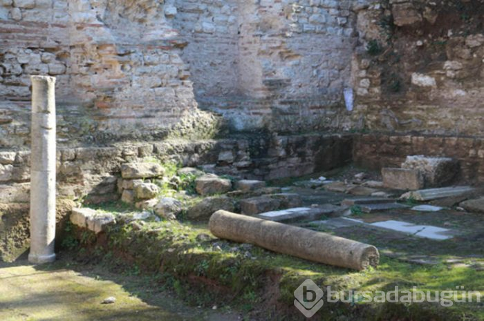 Dünya peşindeydi, Sinop'ta bulundu!