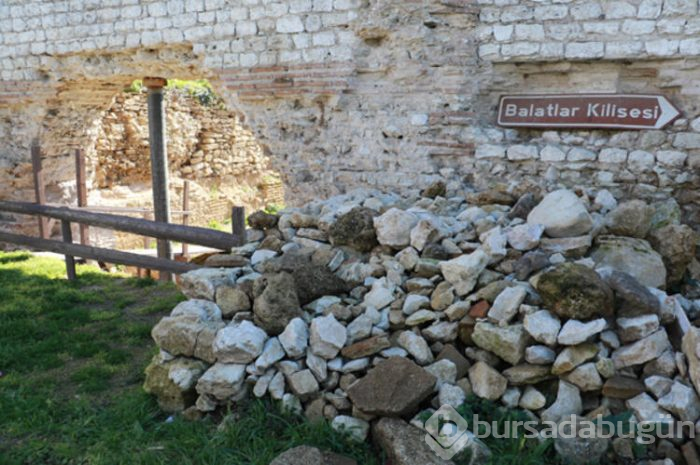 Dünya peşindeydi, Sinop'ta bulundu!