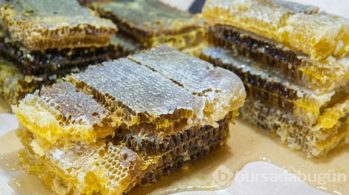 Korona virüsten korunmak için hangi besinler tüketilmeli?