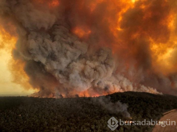 Avustralya'daki yangınlar 240 gün sonra söndü