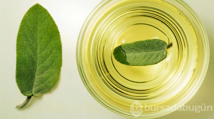 İltihabı vücuttan söküp atan besinler
