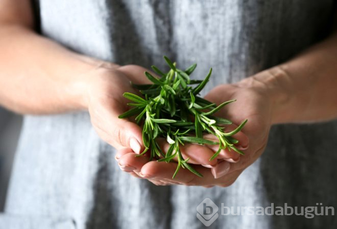 Tüm kanser türlerine karşı kalkan oluyor, bunamayı önlüyor!