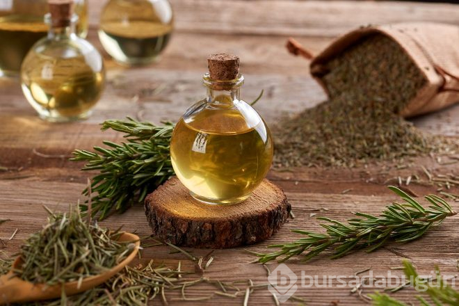 Tüm kanser türlerine karşı kalkan oluyor, bunamayı önlüyor!