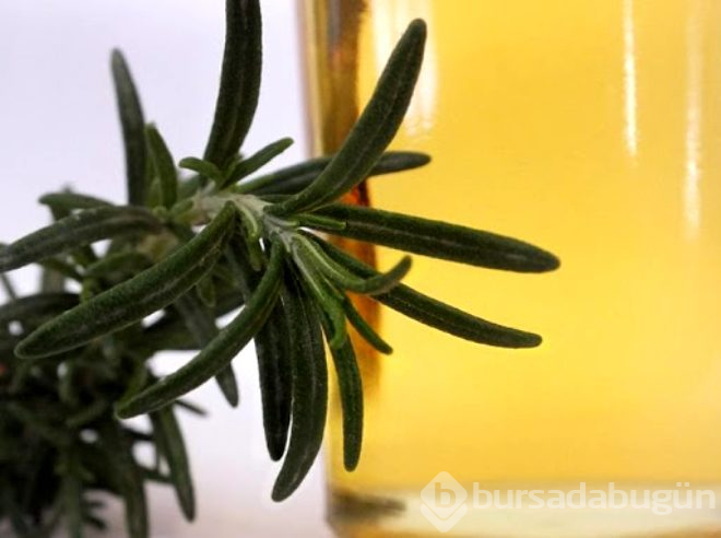 Tüm kanser türlerine karşı kalkan oluyor, bunamayı önlüyor!