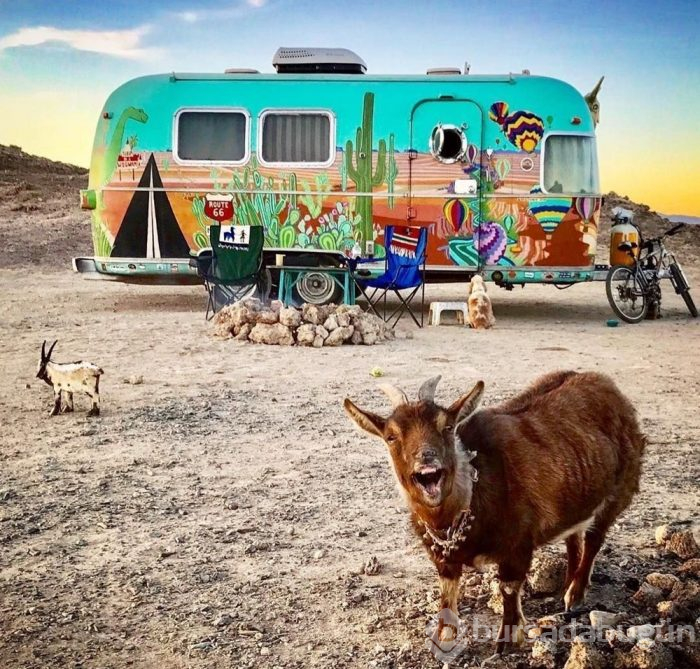 İnsanı gezmeye imrendiren proje: Vanlife