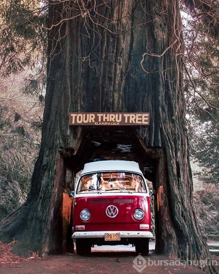 İnsanı gezmeye imrendiren proje: Vanlife