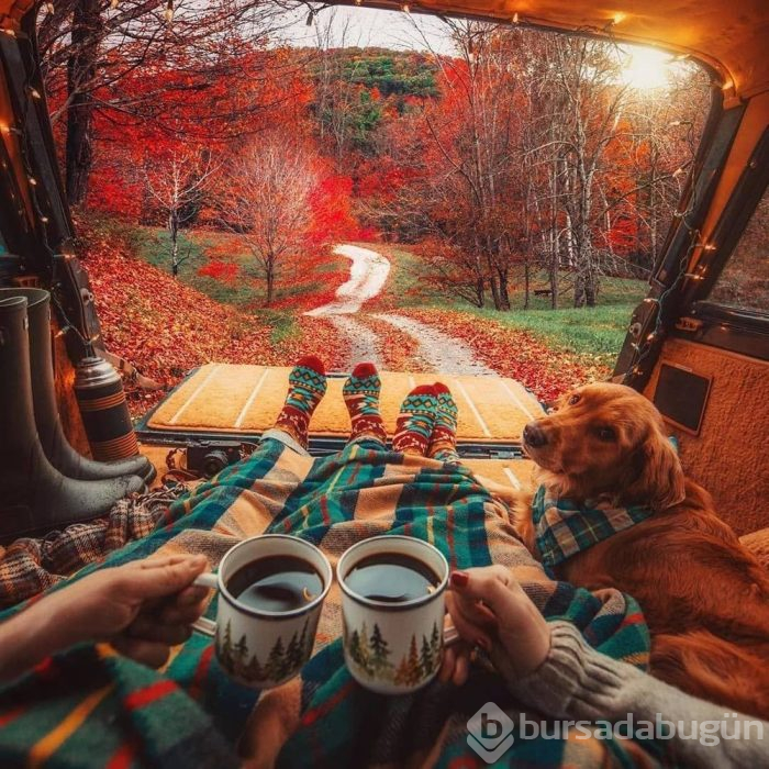 İnsanı gezmeye imrendiren proje: Vanlife