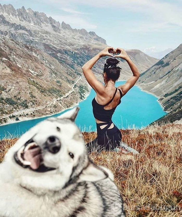 İnsanı gezmeye imrendiren proje: Vanlife
