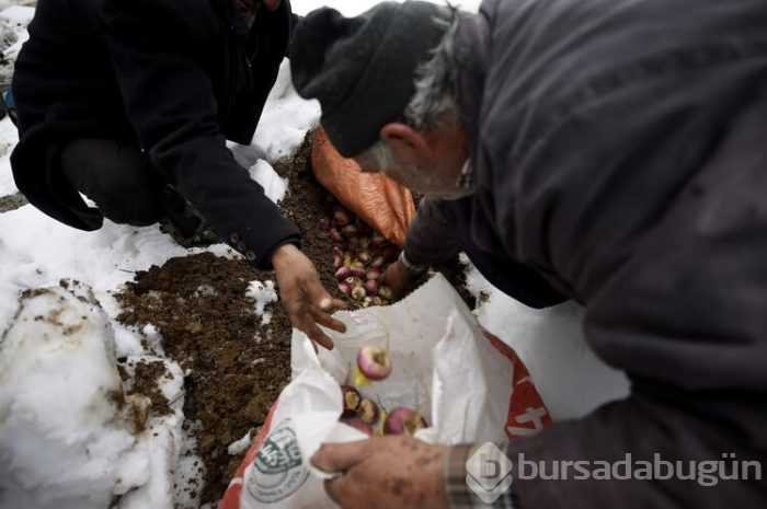 Asırlık yöntemle saklıyorlar