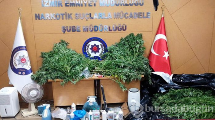 Operasyonda 46 kök skunk ve 1 pompalı tüfek ele geçirildi!