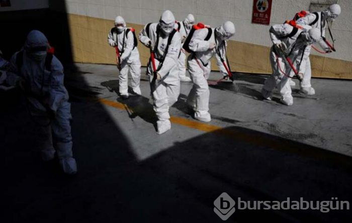 Bu sefer köpeğe bulaştı!
