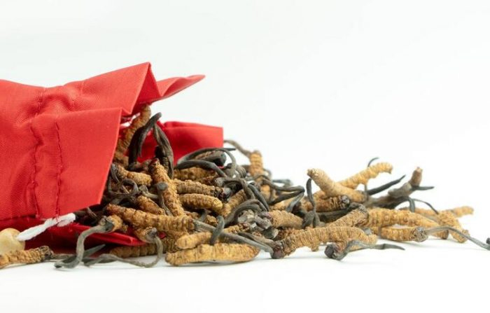 Kilosu 20 bin dolardan başlıyor!